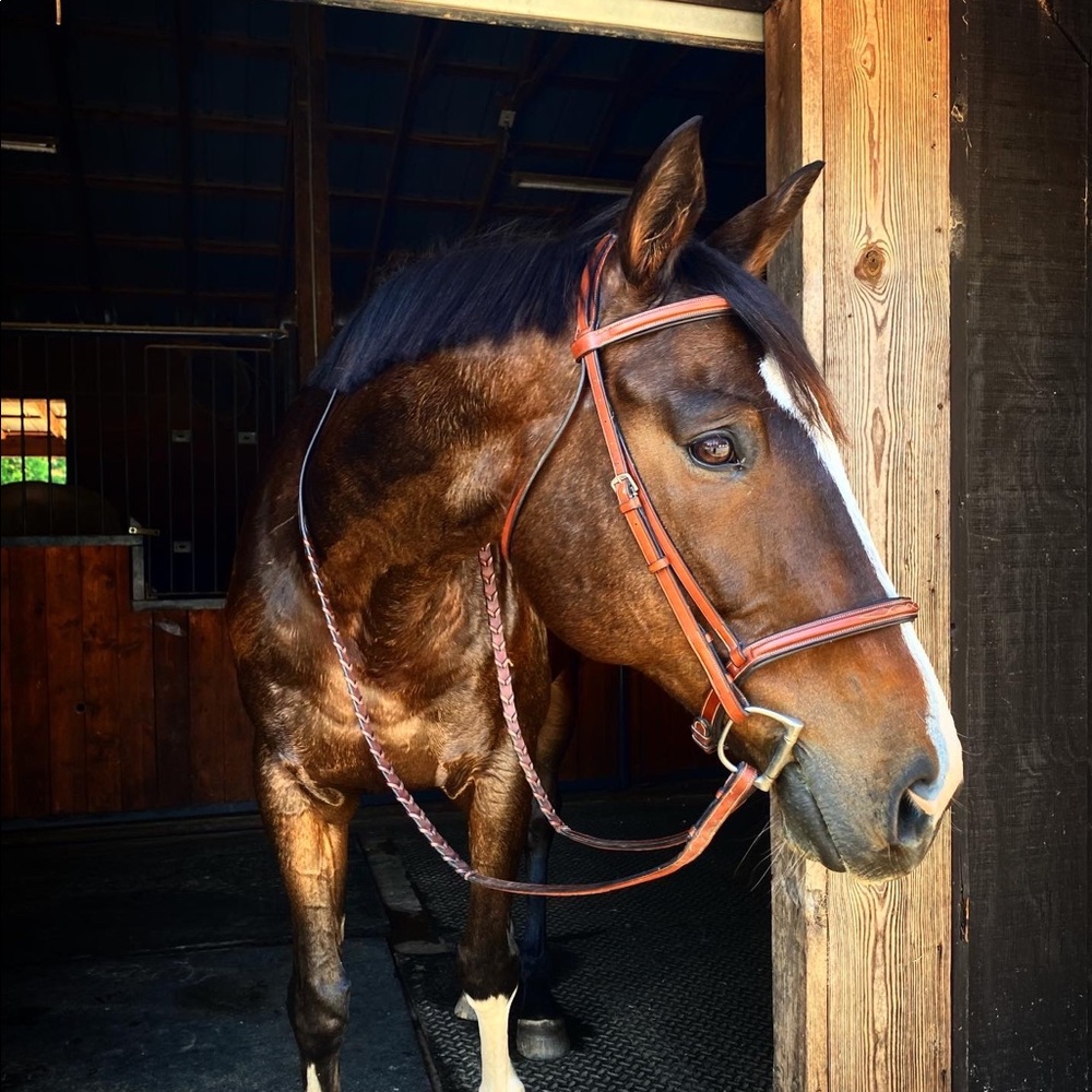 Meet your Posher, Madison